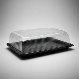 TORTERA INPACK RECT MEDIDAS: 29 ó 17 X 28 X 10,5 CM X UNID